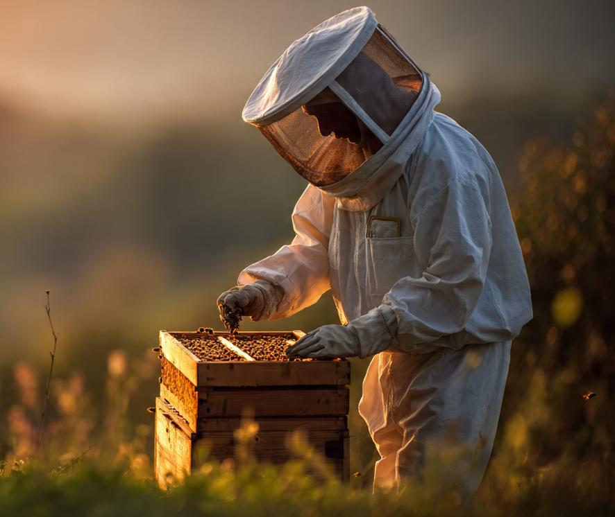 Beekeeping Wear